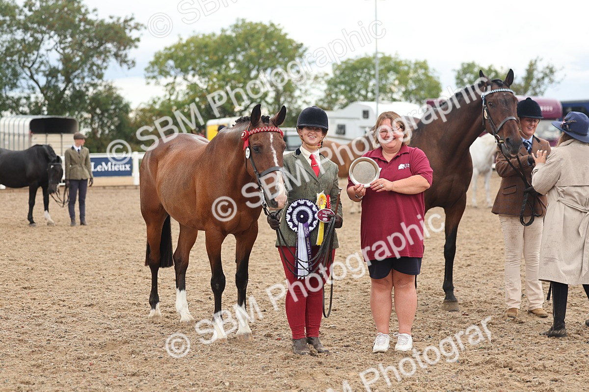 SBM_07829 - Class 27 - IH Competition Horse/Pony