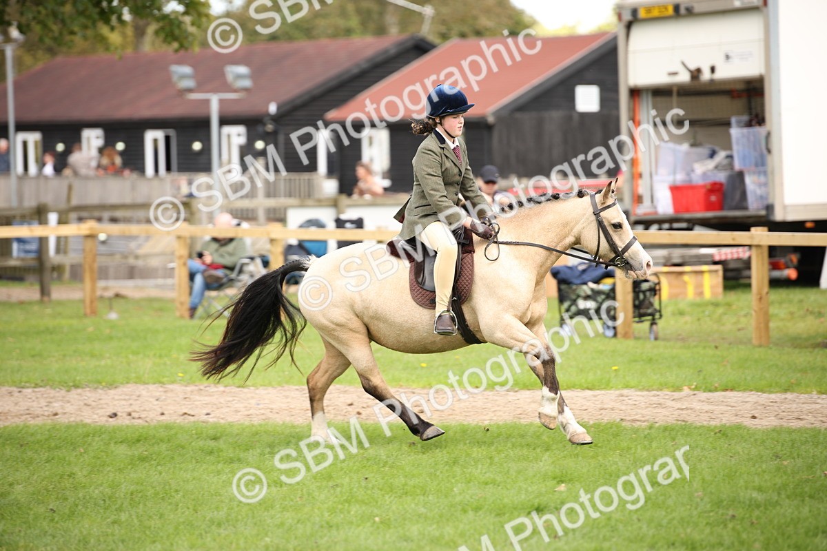 SBM_42303 - S13 - Pony Club Pony