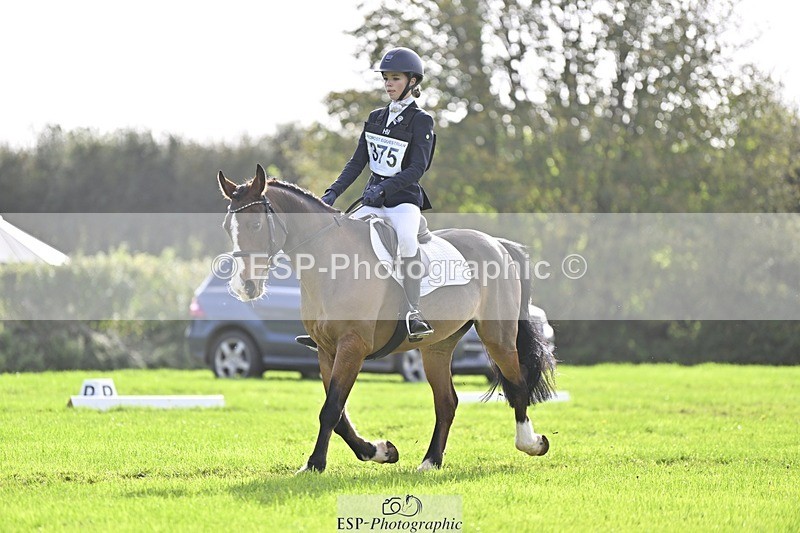 241025-120925-07022 - 375-Erin.Brown-50.SHADES.OF.BAY