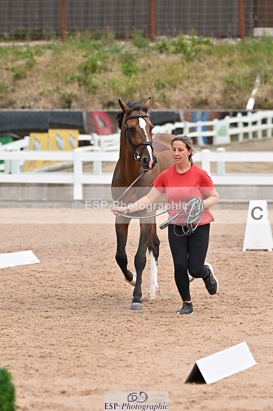 250716-142811-01101 - Trot Up 1.30 to 2.30