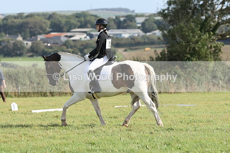 JPP_8112 - Class 2A: Trekenning Open: Dressage