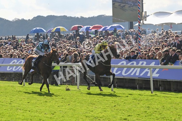121024-Race 2-Bolster-2777 - Race 2 2.05pm Coral Daily Rewards Shaker Handicap