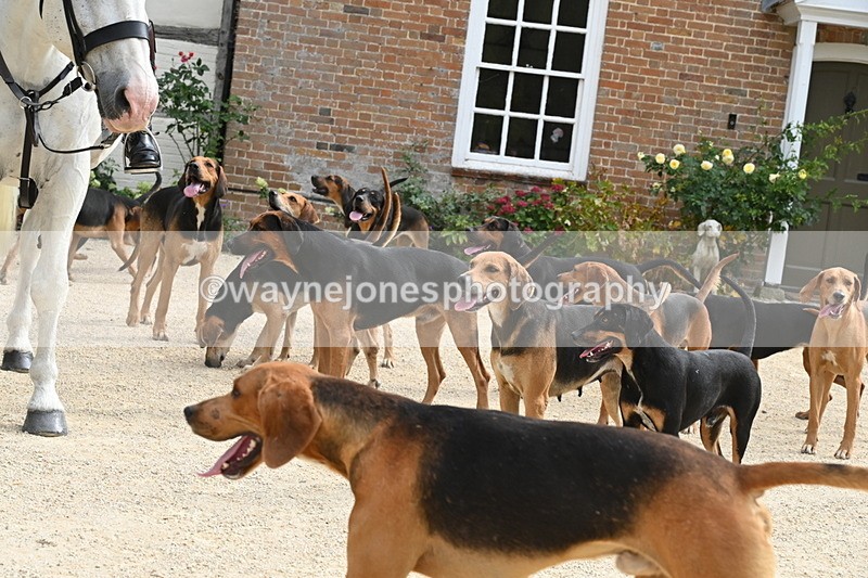 WJ6_3375 - Berks & Bucks - The Old farmhouse - Hound Exercise 20-08-25