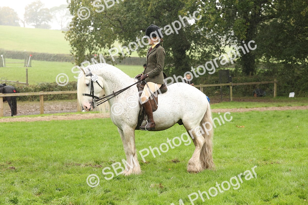 SBM_72790 - S70 - Traditional Cob Ridden