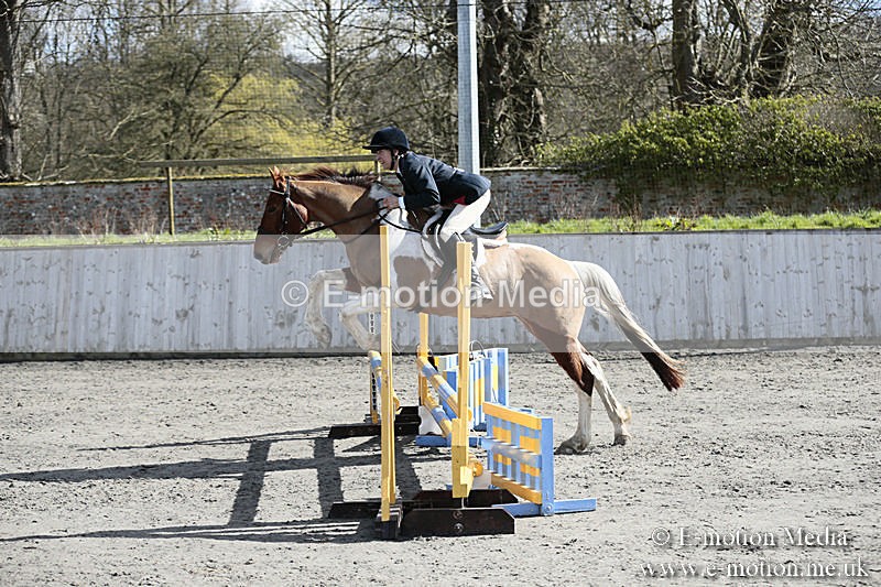 BVRC SJ 170319 308 - Bourne Valley Riding Club Showjumping 17/03/19