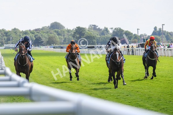 160623-Race 3-Radio Goo Goo-0393 - Race 3 3.00pm British EBF Supporting Racing With Pride Fillies' Handicap