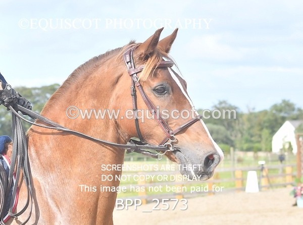 BPP_2573 - DERBY CLASS 8 - 90CM