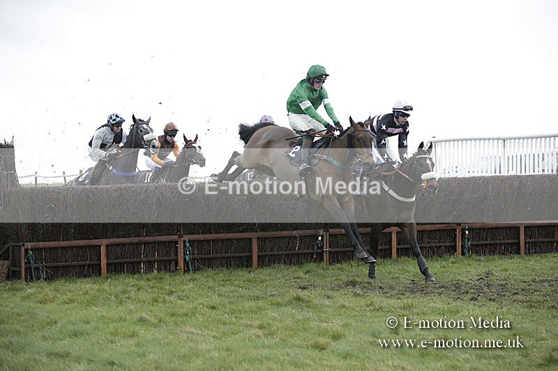 PtP 150320 0482 - New Forest Point-to-Point Larkhill 15/03/20
