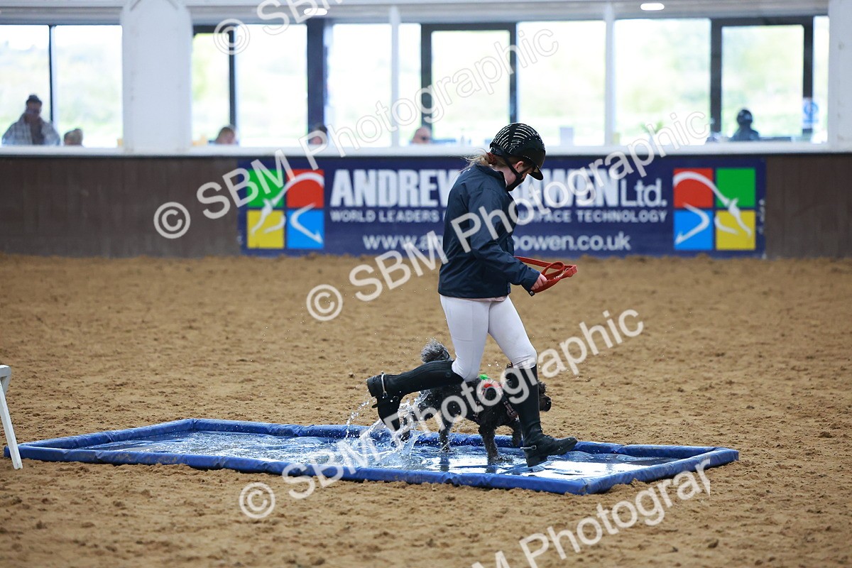 SBM_001644 - Class 3 - Horse & Hound (60cm)