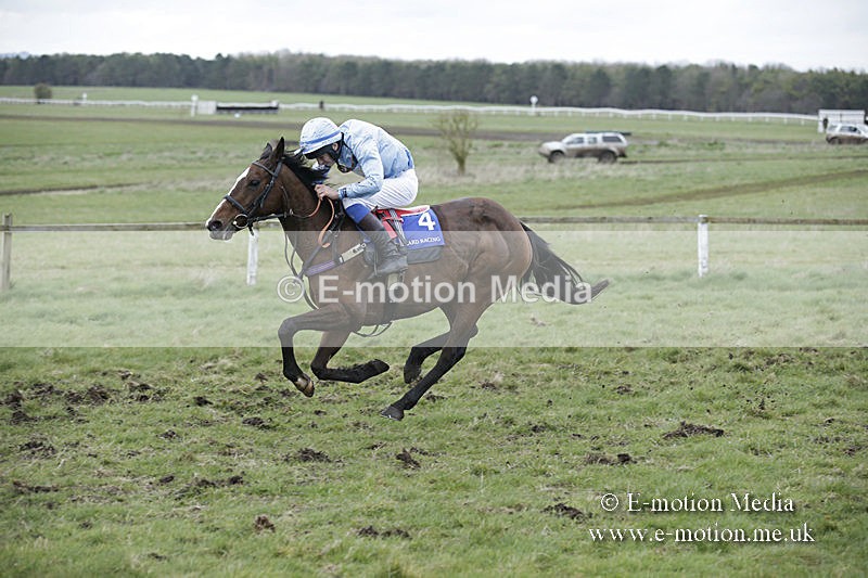 PtP 150320 0899 - New Forest Point-to-Point Larkhill 15/03/20