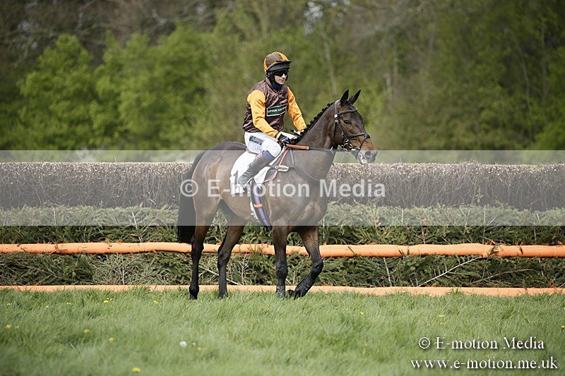 PtP 170417 159 - Old Berks Point-to-Point Lockinge 17/04/17
