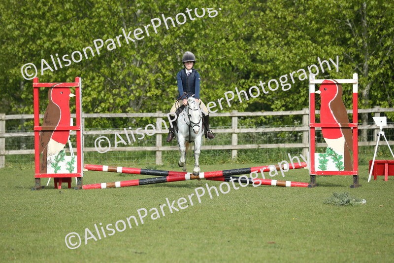 20260426-0096 - Class 13 - Rookie Jumping 50cm