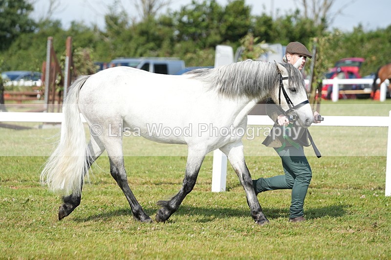 DSC05139 - Class 48: NPS M&M 2/3 year olds
