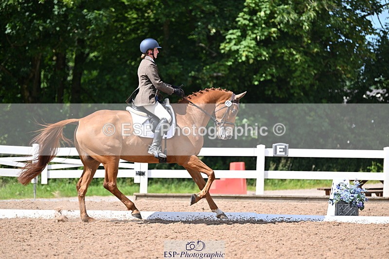 240622A-161233-12717 - Cls 35 BD Adv Medium 91