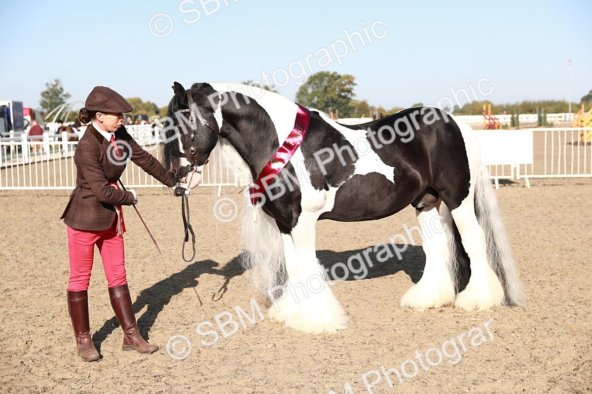 SBM_00093 - Class 40 Best Turned Out IH