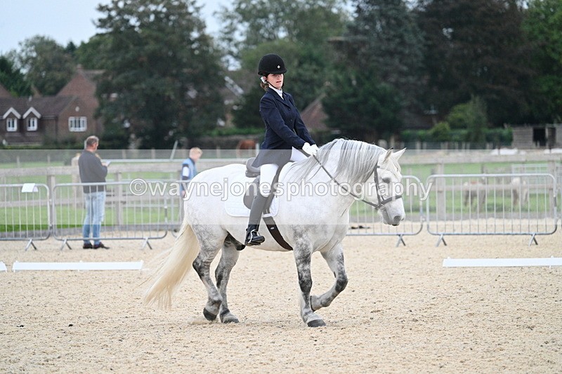 WJ7_2336 - Class 2 & Champs