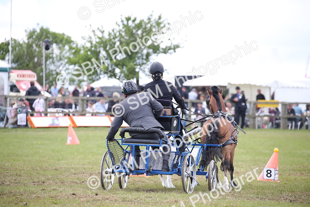 SBM_15456 - Class 90 - Scurry 122cm and Under