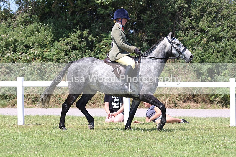 JPP_2714 - Class 21: Working Hunter 60cm