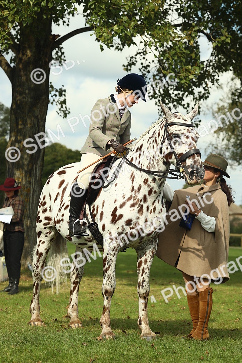 SBM_62522 - S62 - Foreign Breeds Ridden