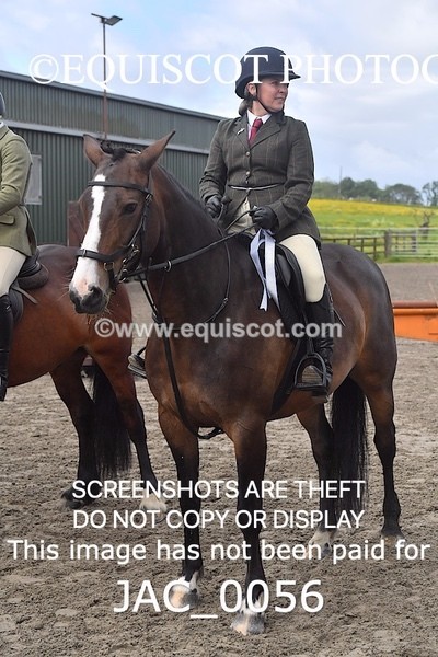 JAC_0056 - CLASS 3 Intermediate Working Hunter (0.70m - 0.85m)