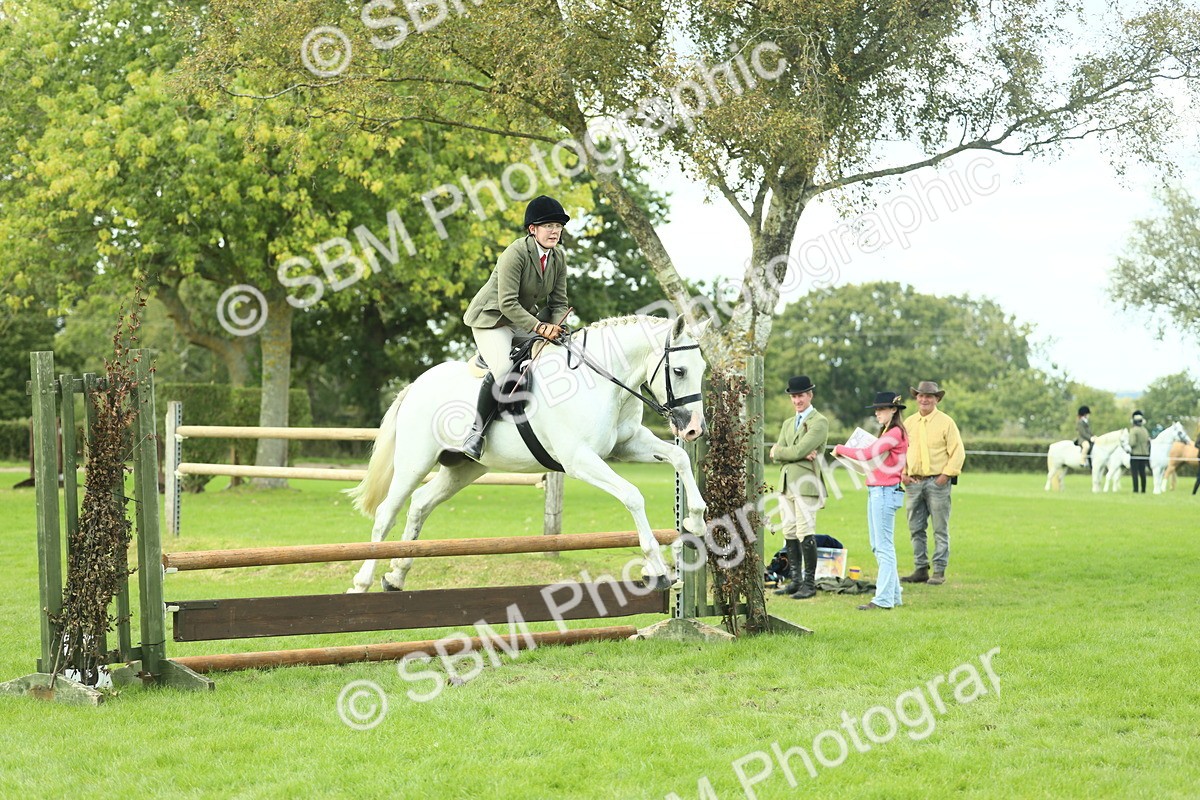 SBM_47943 - S32 - Novice & Newcomers Working Hunter