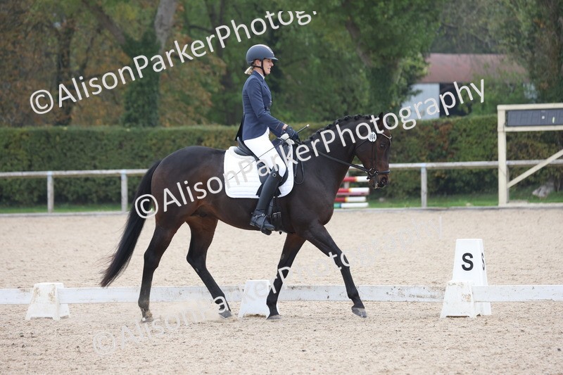 20251012-0766 - Class 7 - Medium 5