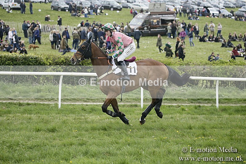 PtP 170417 490 - Old Berks Point-to-Point Lockinge 17/04/17