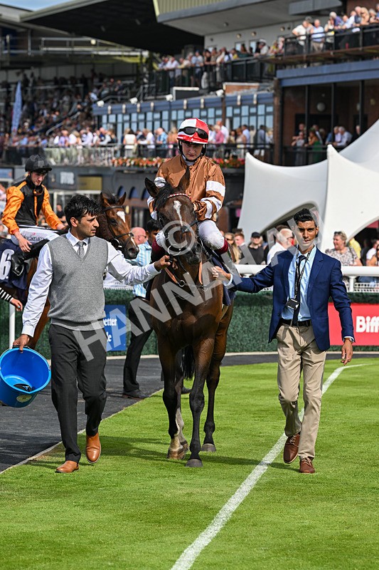 050725-Race 5-Take A Breath-8972 - Race 5