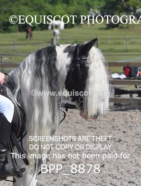 BPP_8878 - CLASS 2 30CM