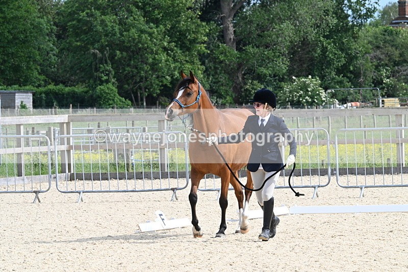 WJ7_8237 - Time 16:10 to 16:25