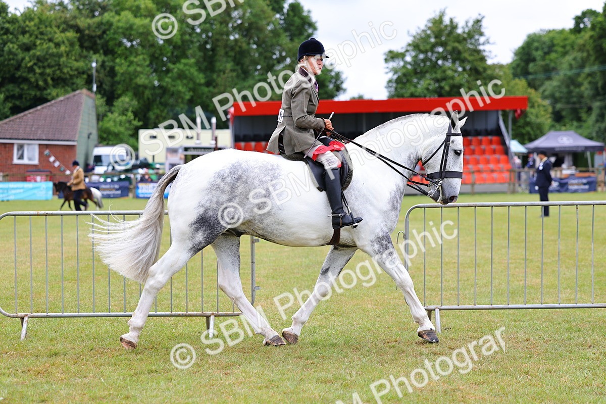 SBM_02597 - Class 9-11 Side Saddle including LIHS Rising Star Ladies Show Horse