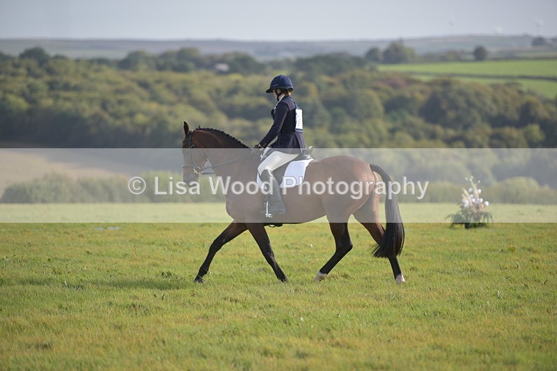 RAY_7246 - Class 2B: Trekenning Open: Dressage