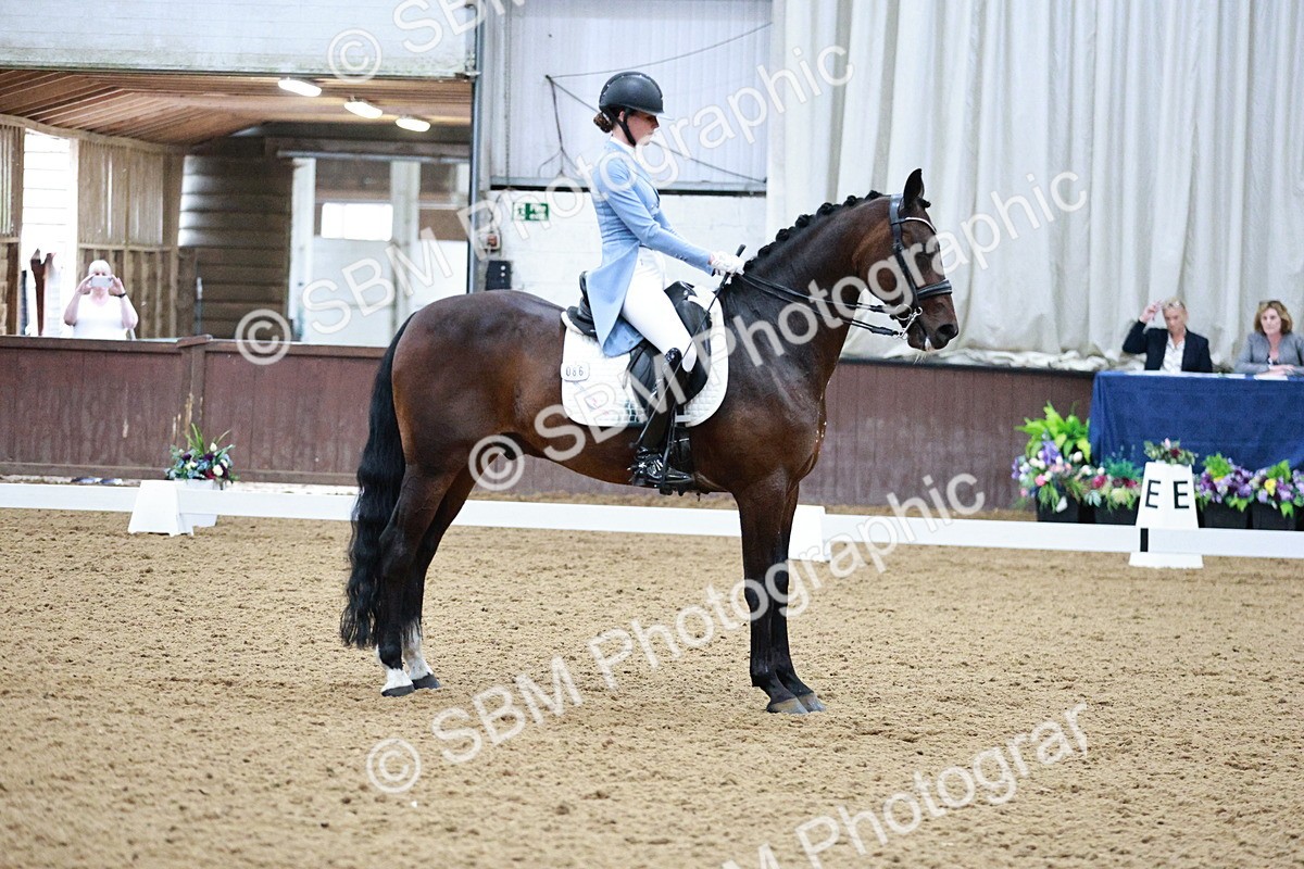 SBM_020723 - Class 13 - FEI INT I - 15.30-16.00