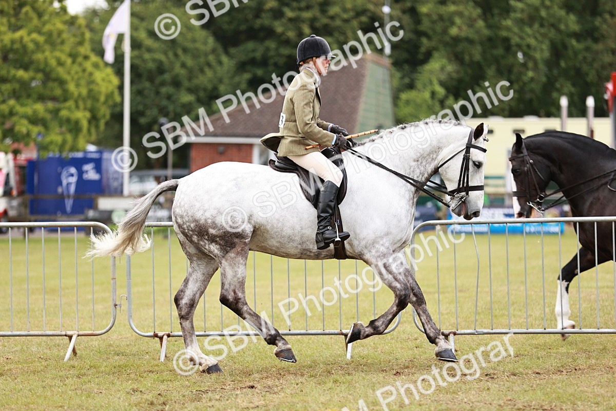 SBM_10768 - Class 81-84 - RIHS Ridden hunters Inc Ladies Hunter