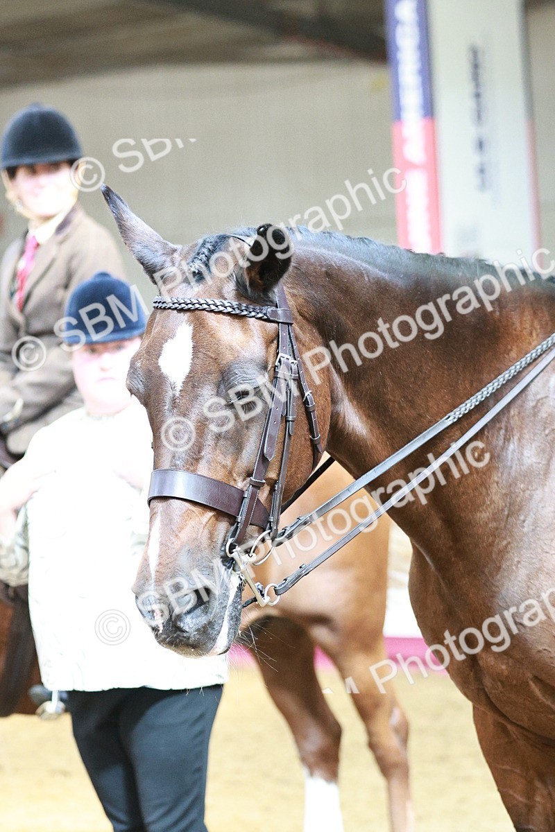 SBM_07055 - Class 10R - Regional Ridden Diamond