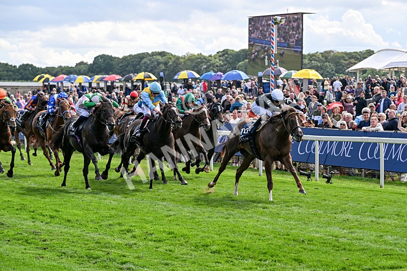 210826-Race 4-Bacio-6203 - Race 4 15.35pm Coolmore City Of Troy Nunthorpe Stakes