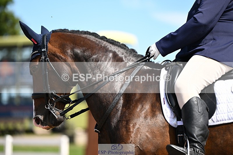 240816A-133315-05096 - 199-Nicola.Seal-Rebel.Heart