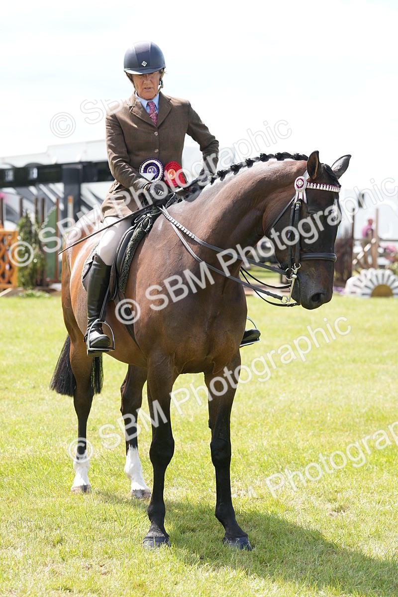 SBM_16268 - Class 105-106 - RIHS Riding Horses