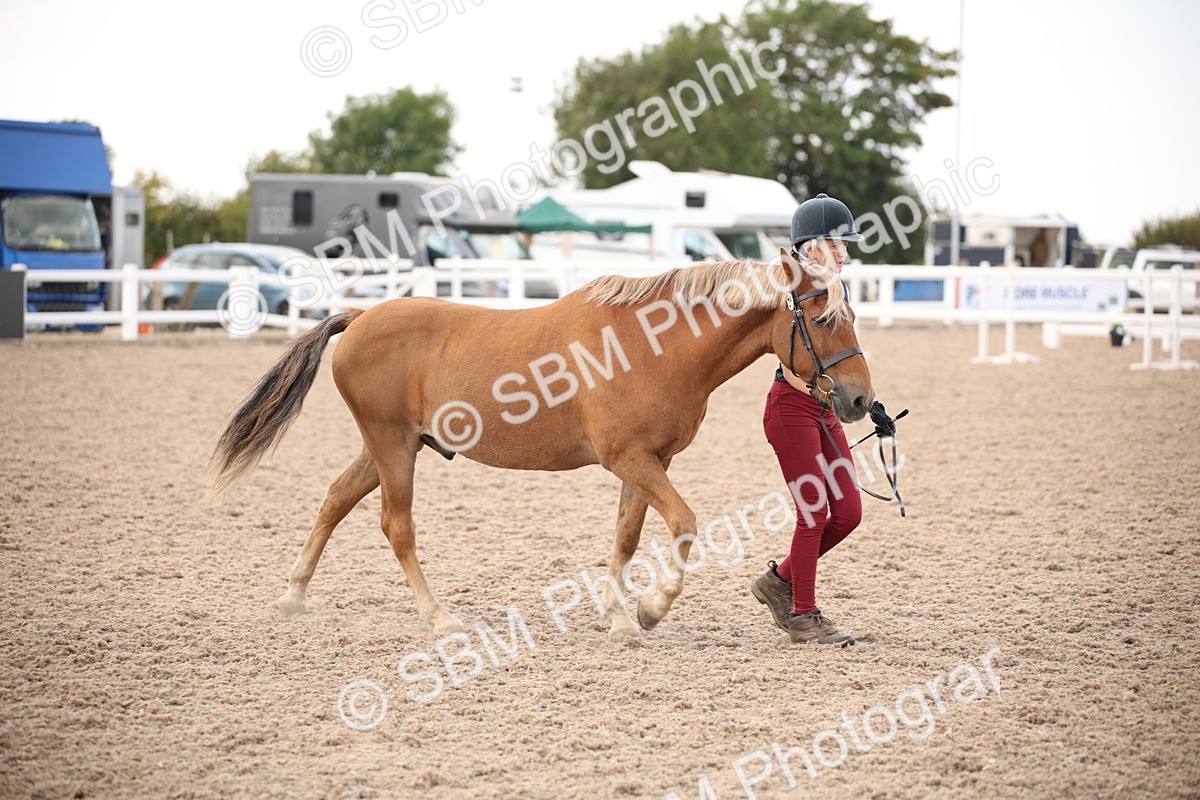 SBM_08243 - Class 27 - IH Competition Horse-Pony