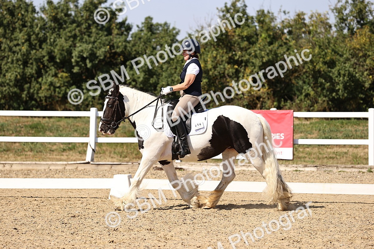 SBM_006550 - Elementary 4 - 15.35-16.50
