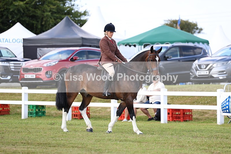 3E7A9621 - Class 5: Rising Star Lightweight/Heavyweight Cobs