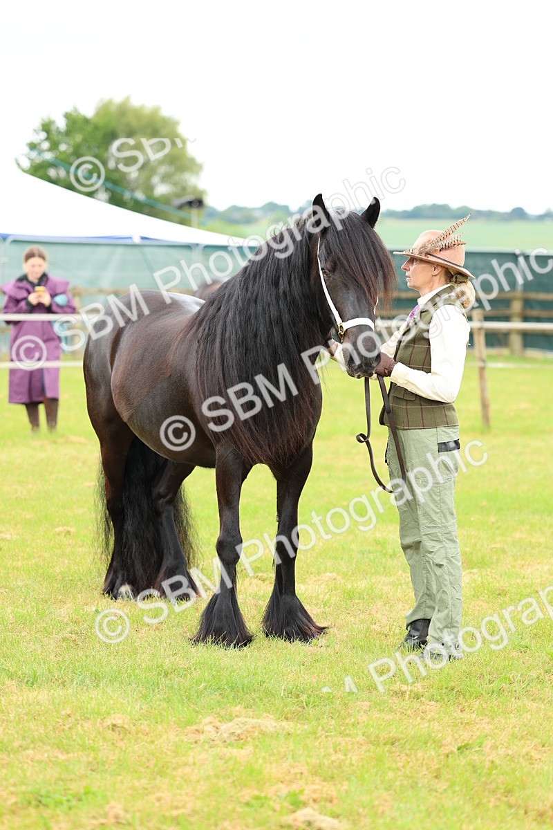 SBM_00559 - Class 58-67 - M&M Non Welsh Pony In hand