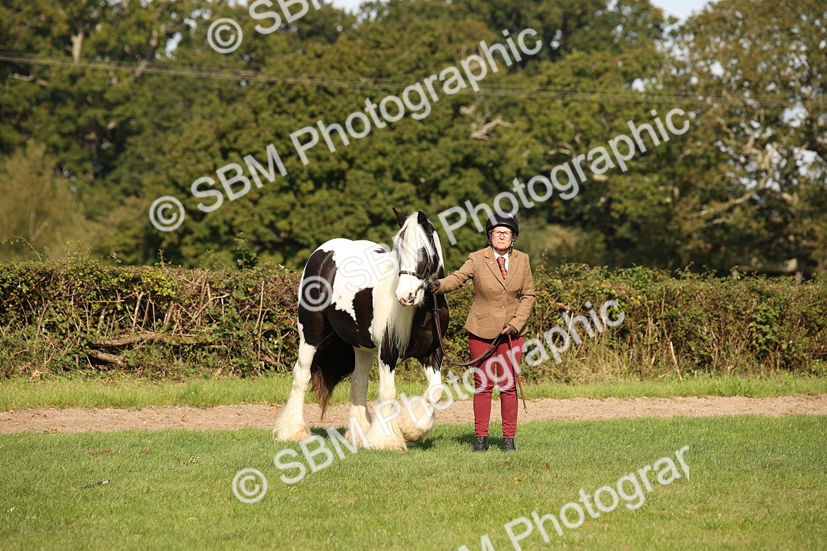 SBM_62192 - S55 - Traditional Cob In Hand