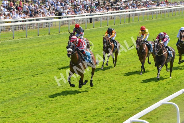 160623-Race 1-Menelaus-6145 - Race 1 1.50pm Andy Thornton Hospitality Furniture Apprentice Handicap