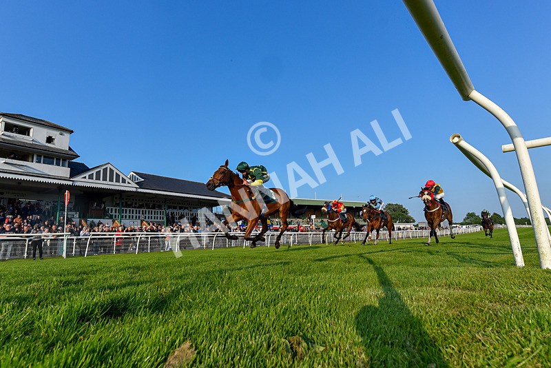 310524-Race 3-Lord Torranaga-7548