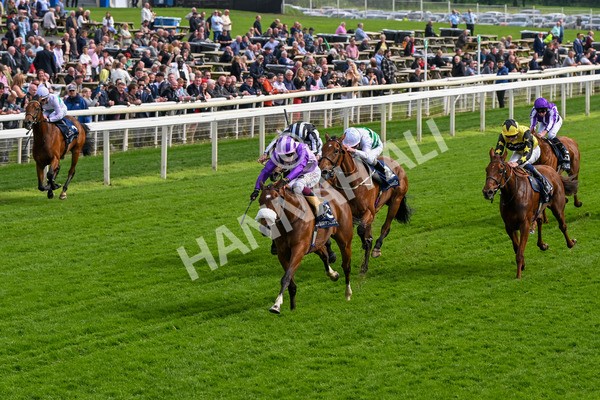 150524-Race 4-Secret Satire-4217 - Race 4 3.45pm Tattersalls Musidora Stakes