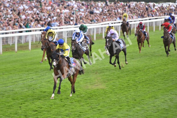 yr20082022r2-37 - Race 2 2.35pm Sky Bet Melrose Stakes