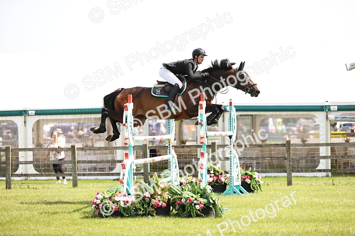SBM_03155 - Class 201 - British Horse Feedds Speedi Beet HOYS Grade C