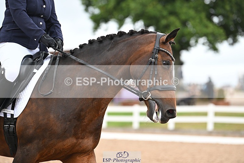 250705-175525-02533 - N1 Section BDNOV1 1350 to 15.28