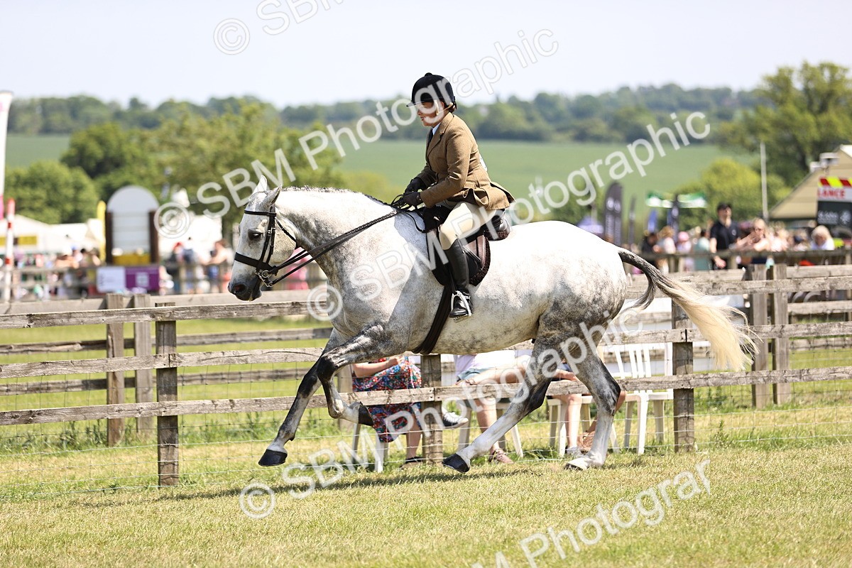 SBM_15122 - Class 79-80 - LIHS BSHA Rising Star Ridden Hunter